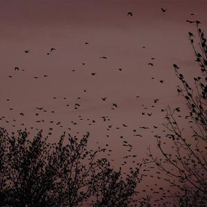 美国十次农夫航道最新进展
